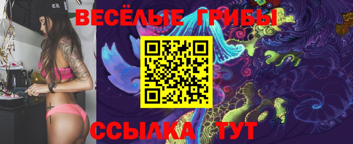 Галлюциногенные грибы Psilocybine cubensis  Вход с VPN  где найти   Бирск 