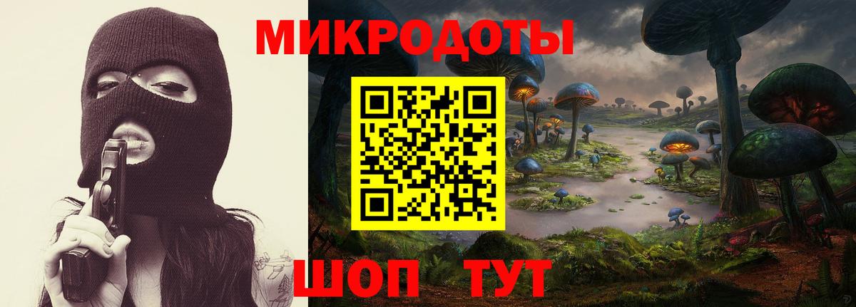 Псилоцибиновые грибы мицелий Бирск